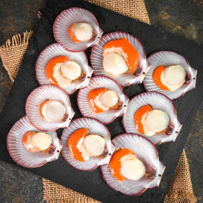 Wildcaught Seafood Bay Scallops w/ Half Shell (10 pcs.)