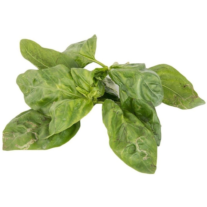 Basil Leaf (100grams)