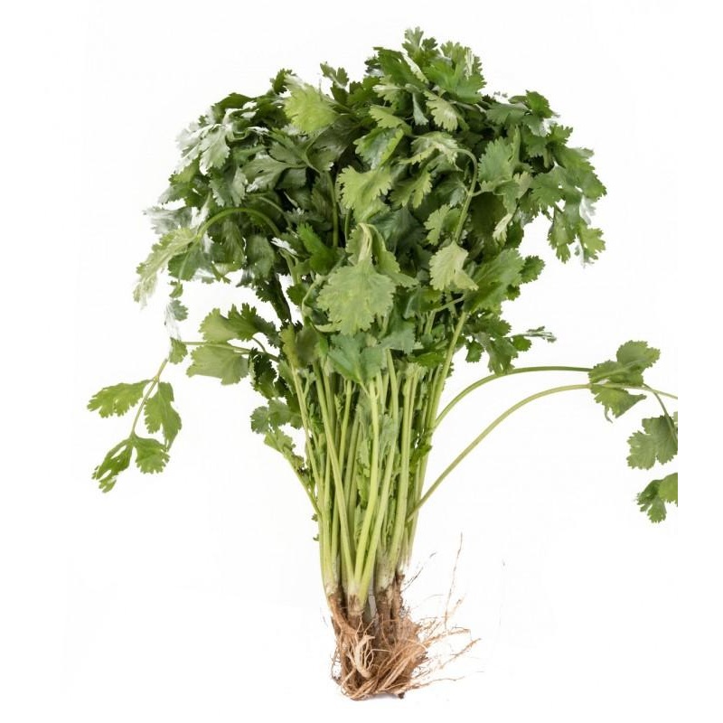 Wansoy (100g)
