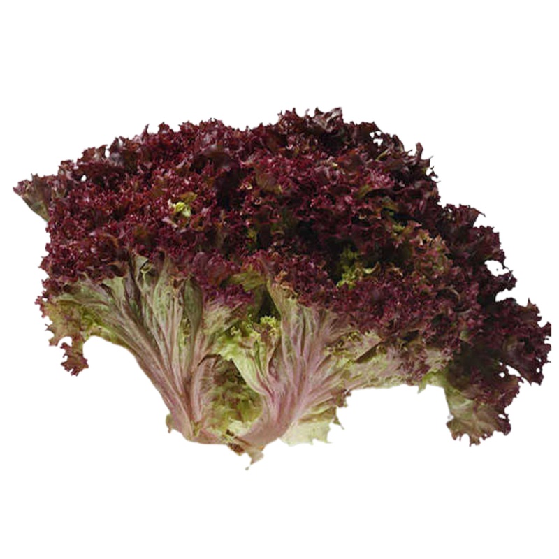 Lolo Rosso Red (300grams)