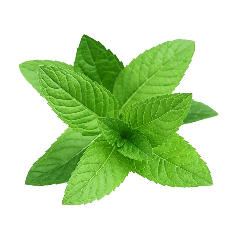Mint Leaf (100grams)