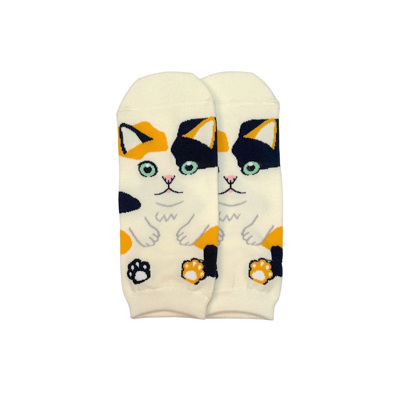 Tabby Cat Nap Ankle Socks