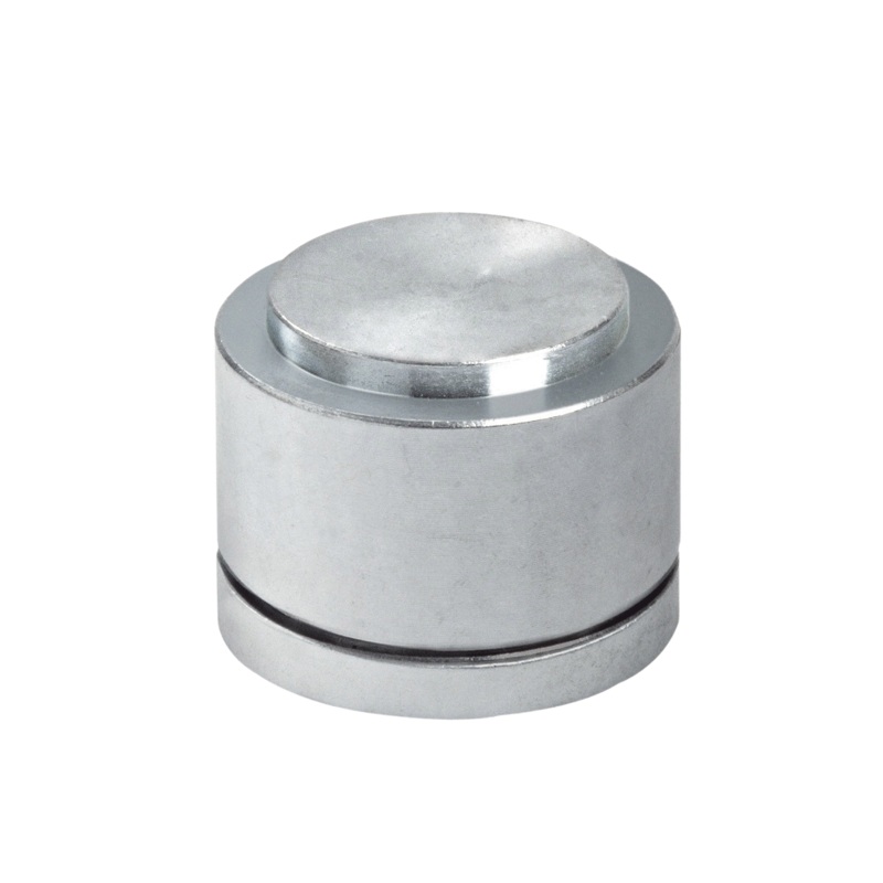 87P -Tejuelo Pequeo Para Puertas Batientes de Hasta 200 Kg BD553669015